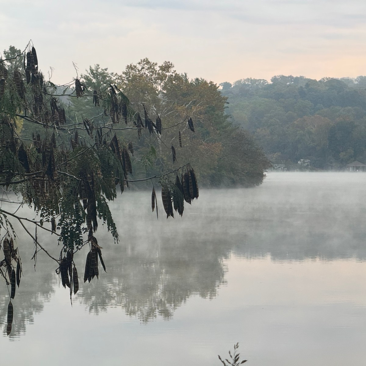 Meditation on Miracles